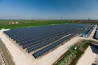 LG Panels in italian solarfarm, 14 MW Capri
